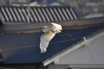 お気に入り1